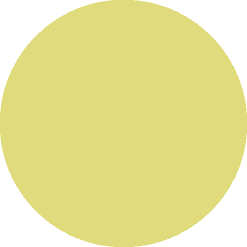 Žuta